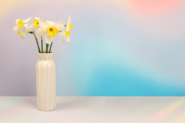 Similar image 22148857