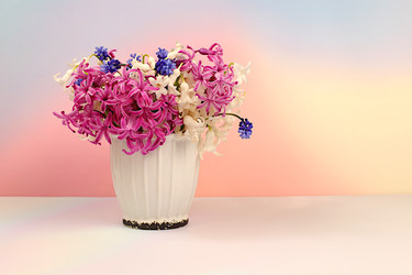 Similar image 22148859