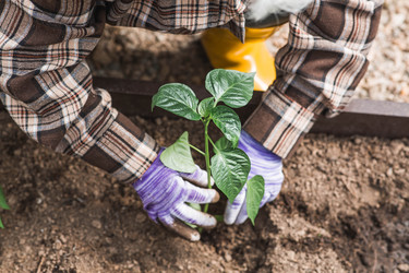 Similar image 22151036