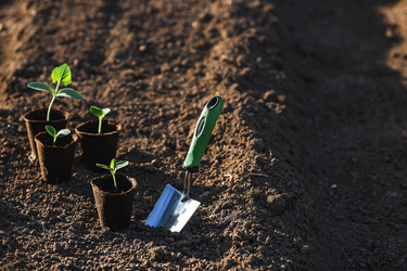 Similar image 22151037