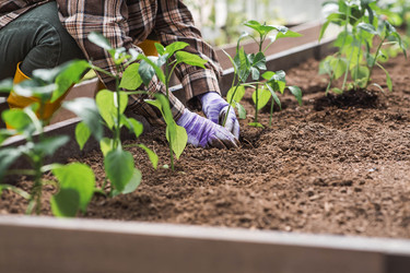 Similar image 22151038