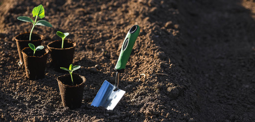 Similar image 22151039