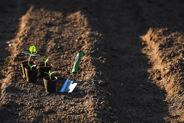 Similar image 22151040