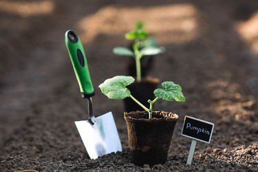 Similar image 22151042