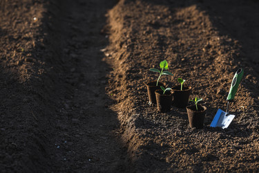 Similar image 22151043