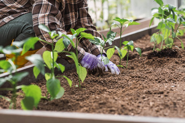 Similar image 22151044