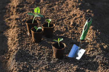 Similar image 22151045