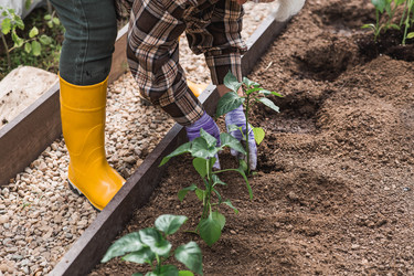 Similar image 22151046