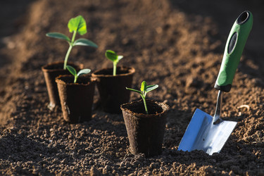 Similar image 22151047