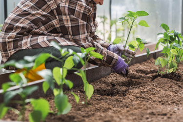 Similar image 22151048