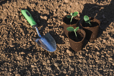 Similar image 22151049