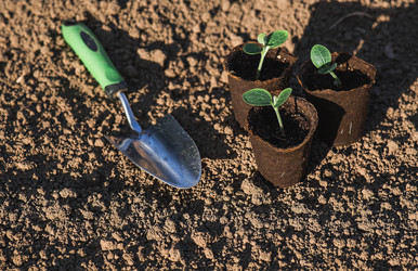 Similar image 22151051