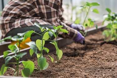 Similar image 22151052