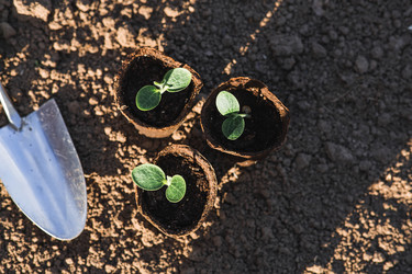 Similar image 22151053