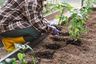 Similar image 22151054