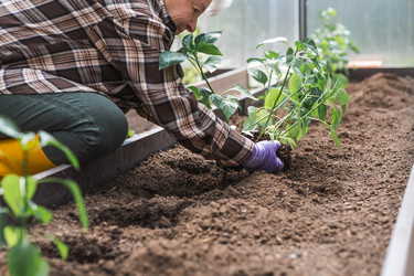 Similar image 22151056