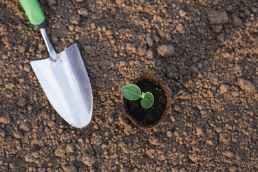 Similar image 22151057