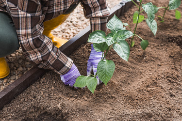 Similar image 22151058