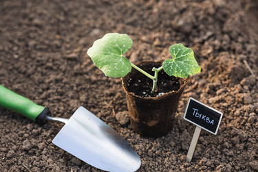 Similar image 22151059