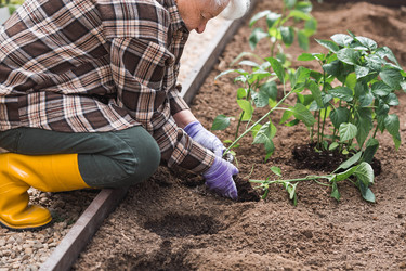 Similar image 22151060