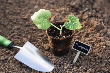 Similar image 22151061