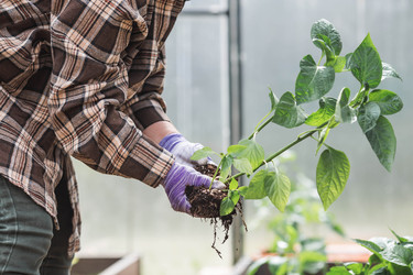 Similar image 22151062