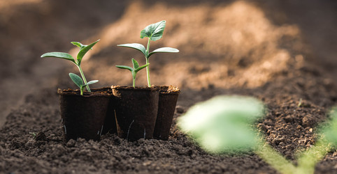 Similar image 22151063