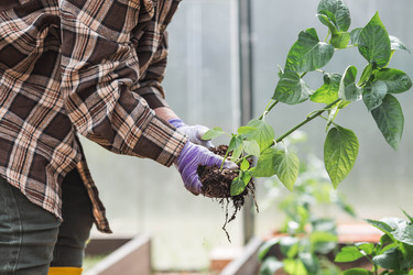 Similar image 22151064