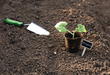 Similar image 22151065