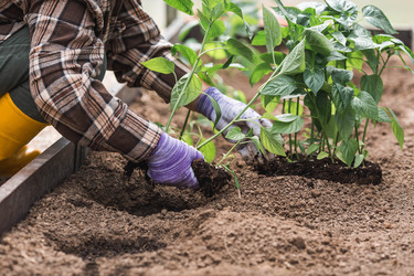 Similar image 22151066