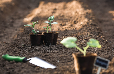 Similar image 22151067