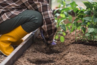 Similar image 22151068