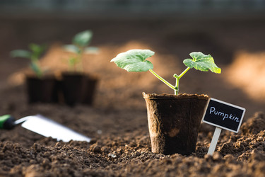 Similar image 22151069