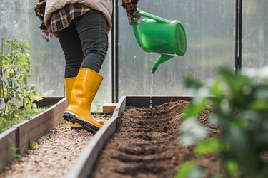 Similar image 22151070