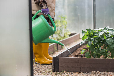 Similar image 22151072