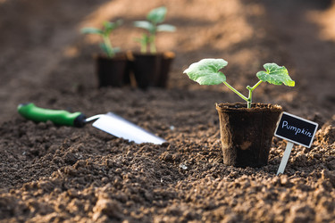 Similar image 22151073