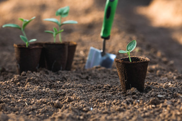 Similar image 22151074