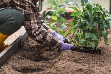 Similar image 22151075