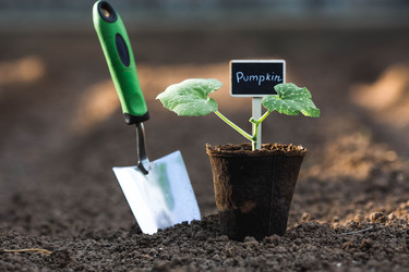 Similar image 22151076