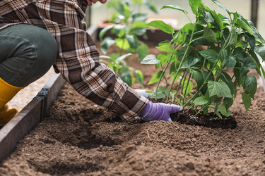 Similar image 22151078