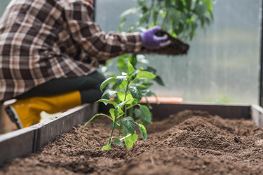 Similar image 22151079