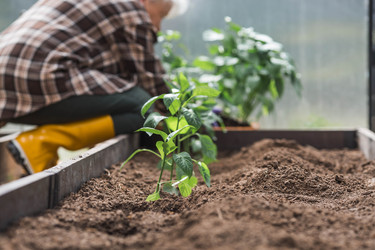 Similar image 22151080