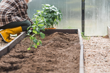 Similar image 22151081