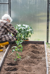 Similar image 22151082