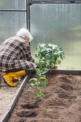 Similar image 22151083