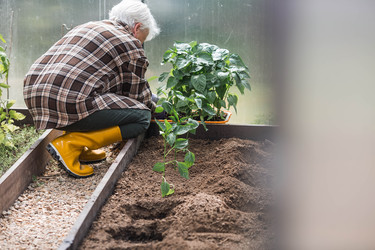 Similar image 22151085