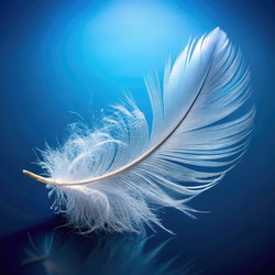 Similar image 22166768