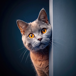 Similar image 22166795