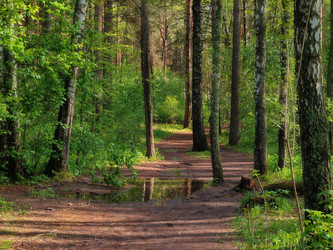 Similar image 22142700