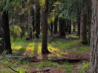 Similar image 22142701